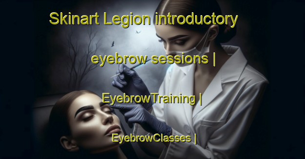 Skinart Legion introductory eyebrow sessions | EyebrowTraining | EyebrowClasses | SkinartTraining-Zimbabwe